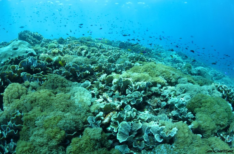 DSC03689 - Version 2