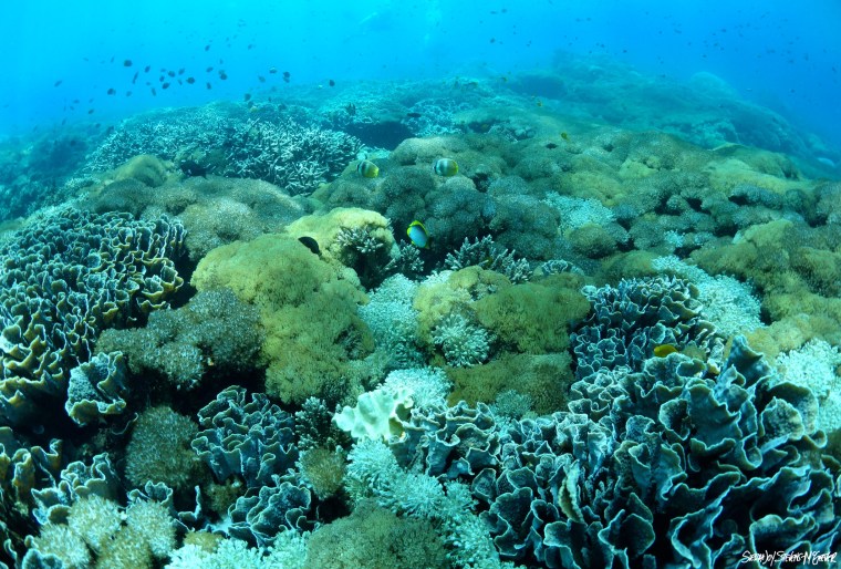 DSC04165 - Version 2