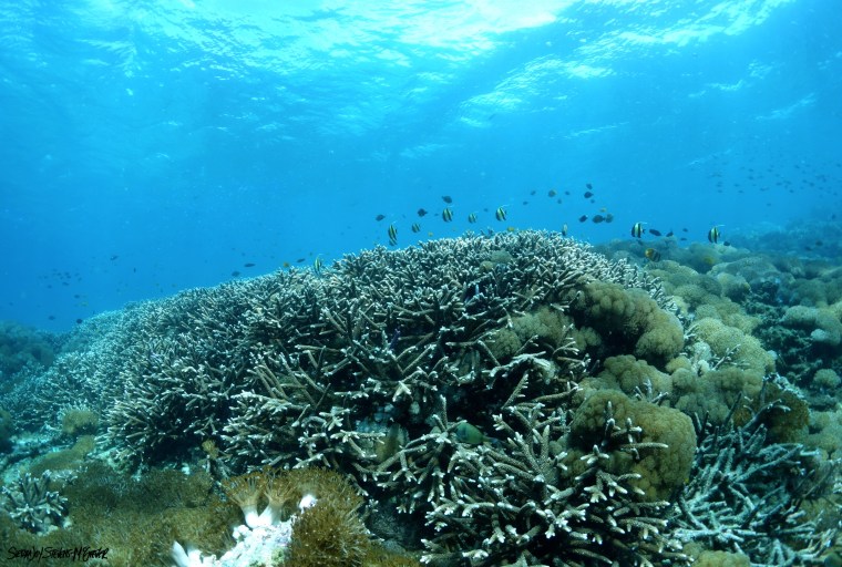 DSC04219 - Version 2