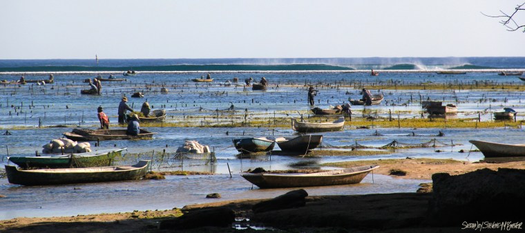 IMG_6902 - Version 2