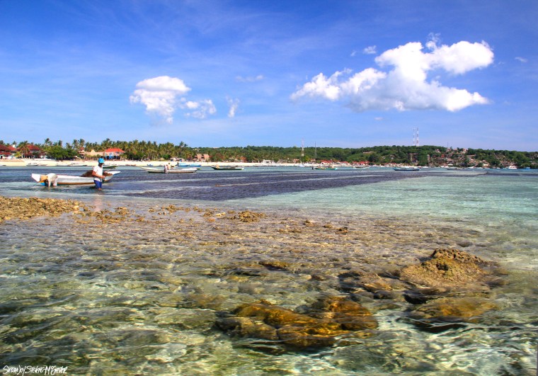 IMG_7271 - Version 2