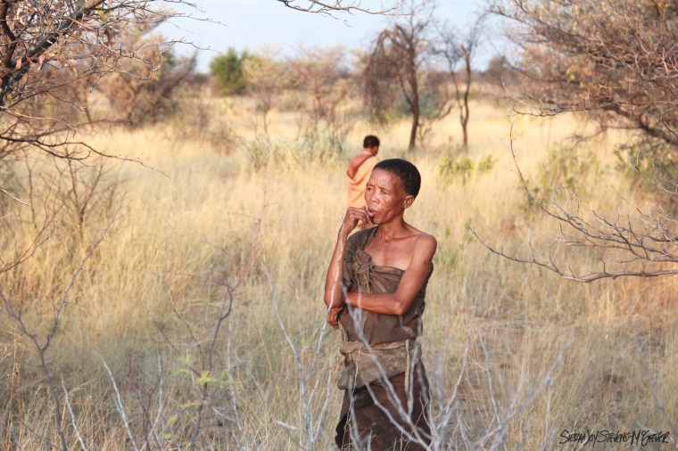 The tribe matriarch looks out across the landscape