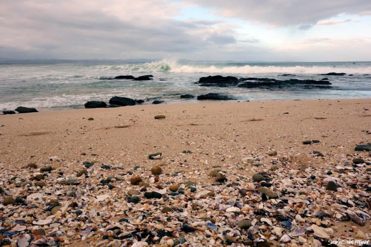 The "Point" breaks at sunset along the shell strewn beach at Jeffery's Bay