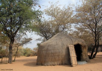 BushmanHut