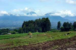 Rwandan Countryside