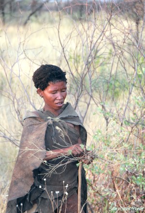 SanBushmanWoman