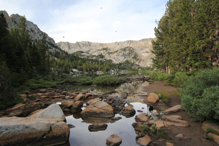 Photobomb: (verb)- To enter in a photo unexpectedly right before it is taken, often without knowing the people who are taking the photo.