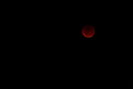 BloodMoon